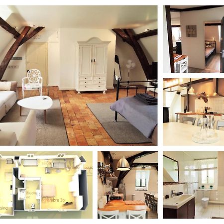 Chateau La Mothaye - Self Catering Apartments With Pool In The Loire Valley Les Bois-d'Anjou المظهر الخارجي الصورة