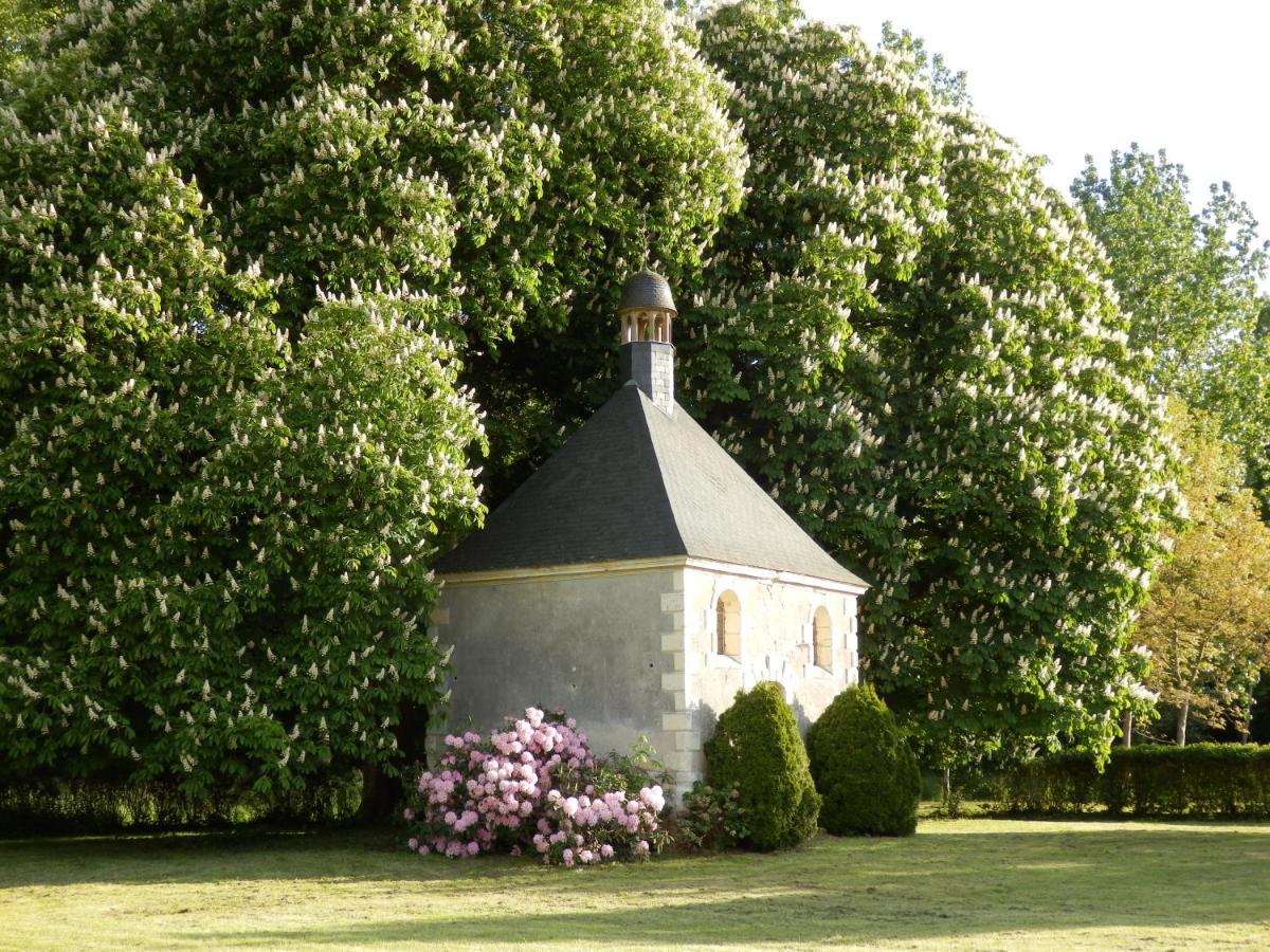 Chateau La Mothaye - Self Catering Apartments With Pool In The Loire Valley Les Bois-d'Anjou المظهر الخارجي الصورة