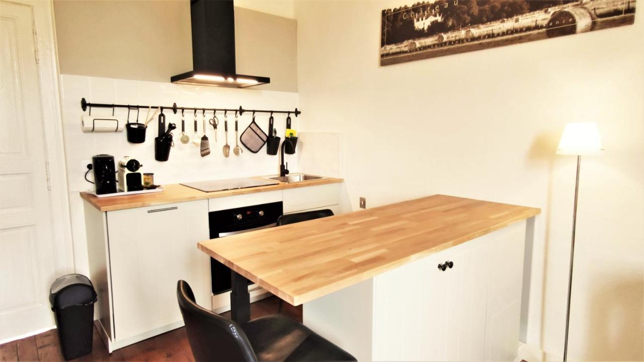 Chateau La Mothaye - Self Catering Apartments With Pool In The Loire Valley Les Bois-d'Anjou المظهر الخارجي الصورة