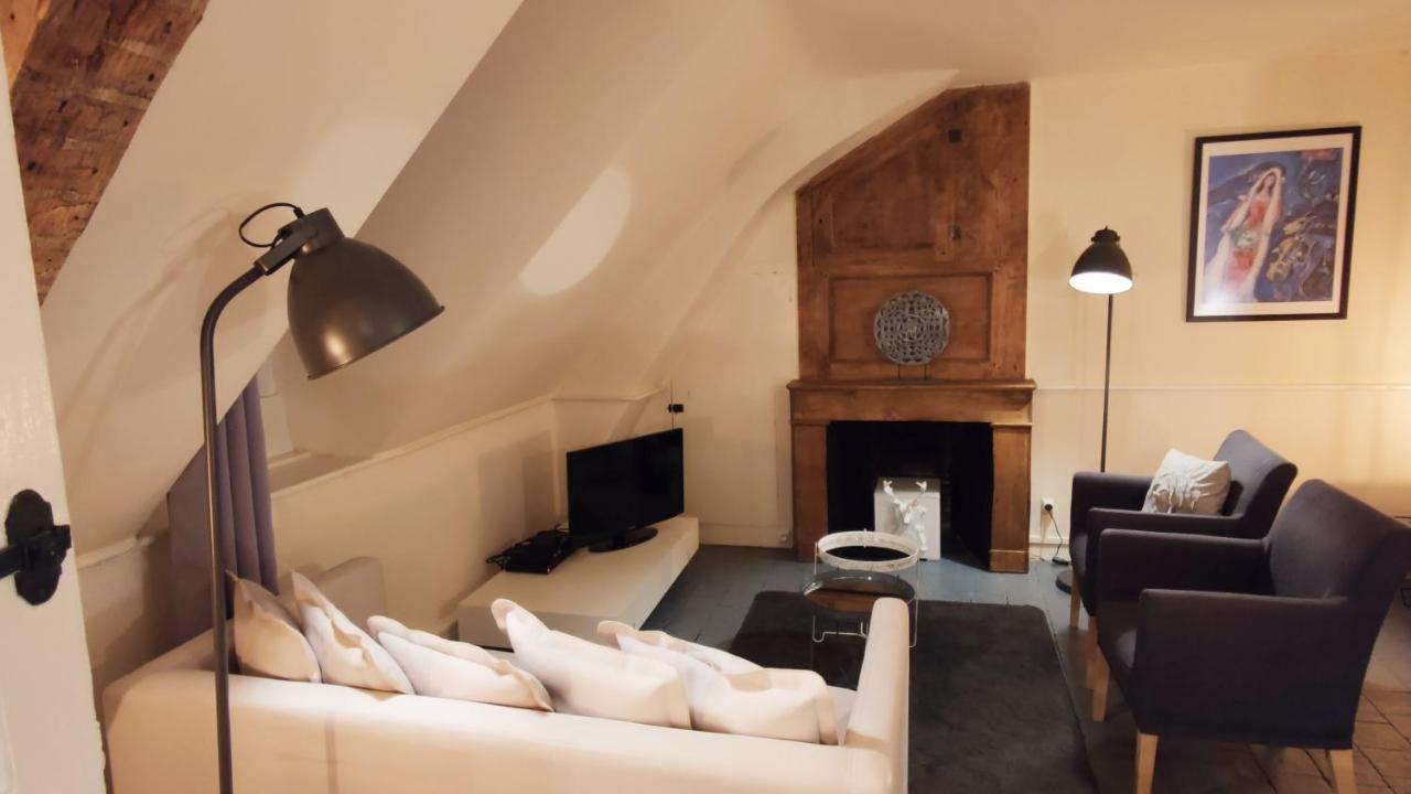 Chateau La Mothaye - Self Catering Apartments With Pool In The Loire Valley Les Bois-d'Anjou المظهر الخارجي الصورة
