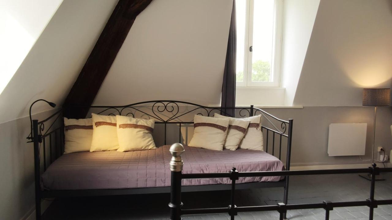 Chateau La Mothaye - Self Catering Apartments With Pool In The Loire Valley Les Bois-d'Anjou المظهر الخارجي الصورة