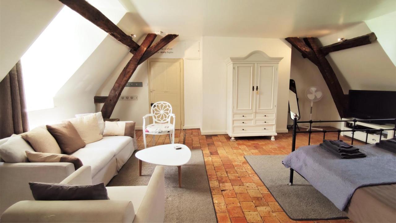 Chateau La Mothaye - Self Catering Apartments With Pool In The Loire Valley Les Bois-d'Anjou المظهر الخارجي الصورة