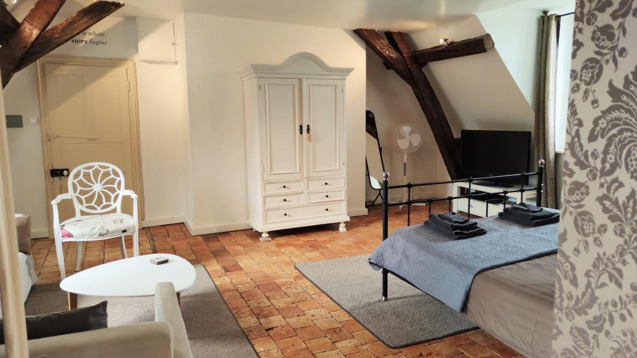Chateau La Mothaye - Self Catering Apartments With Pool In The Loire Valley Les Bois-d'Anjou المظهر الخارجي الصورة
