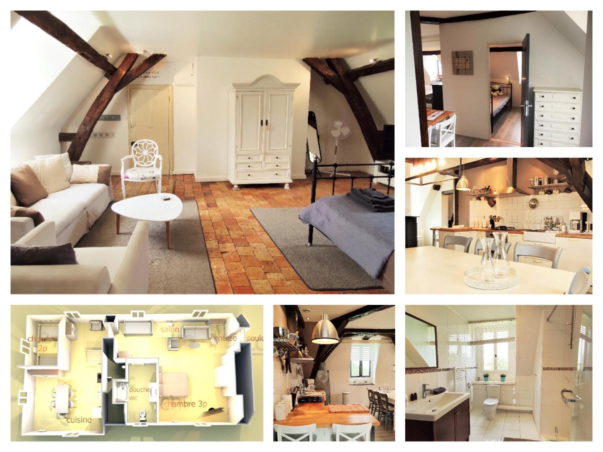 Chateau La Mothaye - Self Catering Apartments With Pool In The Loire Valley Les Bois-d'Anjou المظهر الخارجي الصورة