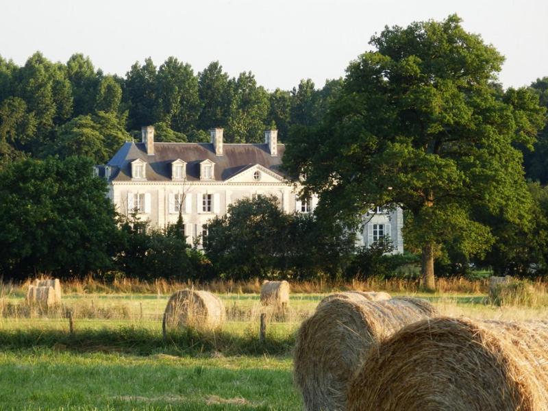 Chateau La Mothaye - Self Catering Apartments With Pool In The Loire Valley Les Bois-d'Anjou الغرفة الصورة